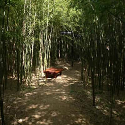 <新潟>鳥屋野逆ダケの藪【白山駅】<span class="price-others">入場料無料</span>