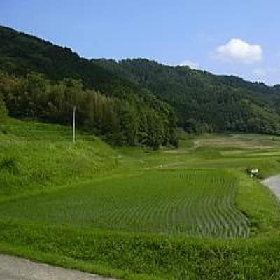 <奈良>自然の風景<span class="price-others">入場料無料</span>