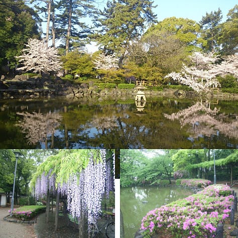 <愛知>中村公園【名古屋 中村公園駅】<span class="price-others">入場料無料</span>