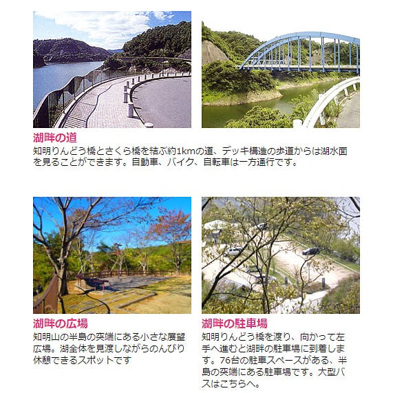 <兵庫>一庫公園【長原バス停】<span class="price-others">入場料無料</span>