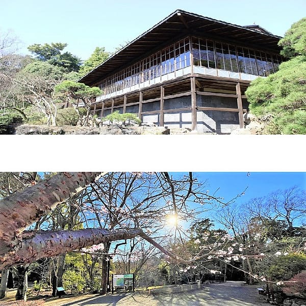 <静岡>三島市立公園 楽寿園【三島駅】<span class="price-others">おひとりの入場料</span>