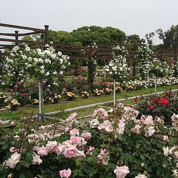 <大阪>長居植物園(要申請)【長居駅】<span class="price-others">入園料の料金</span>