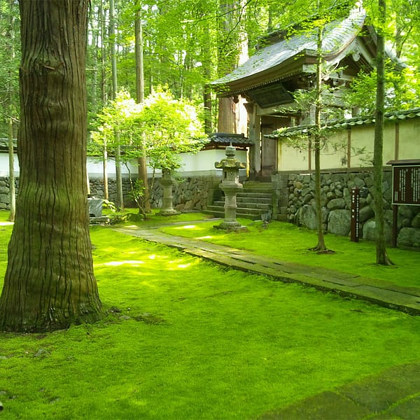 <長野>貞祥寺【中込駅】