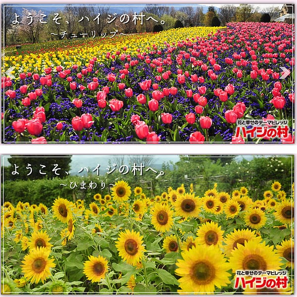 <山梨>フラワーセンター ハイジの村【茅ヶ岳・みずがき田園バスで30分】<span class="price-others">おひとりの入場料</span>