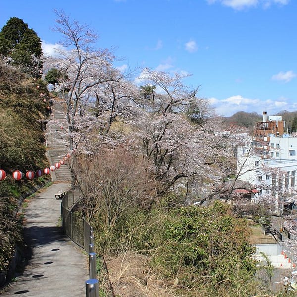<福島>御幸山公園 【旅館こいと近隣】<span class="price-others">入場料無料</span>