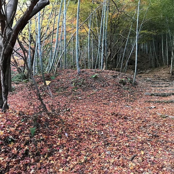 <福島>青葉虚空蔵尊 【旅館こいと近隣】<span class="price-others">入場料無料</span>