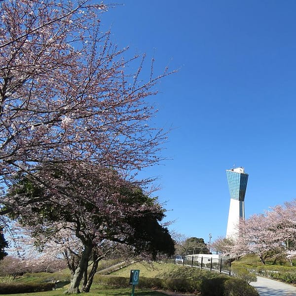 <福島>三崎公園 【旅館こいと近隣】<span class="price-others">入場料無料</span>