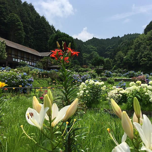 <奈良>柳生花しょうぶ園<span class="price-others">おひとりの入場料</span>
